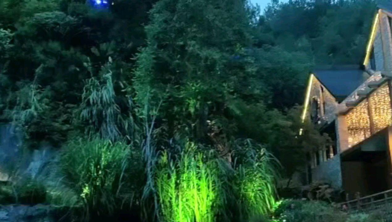 这些民生实事引发网友热议